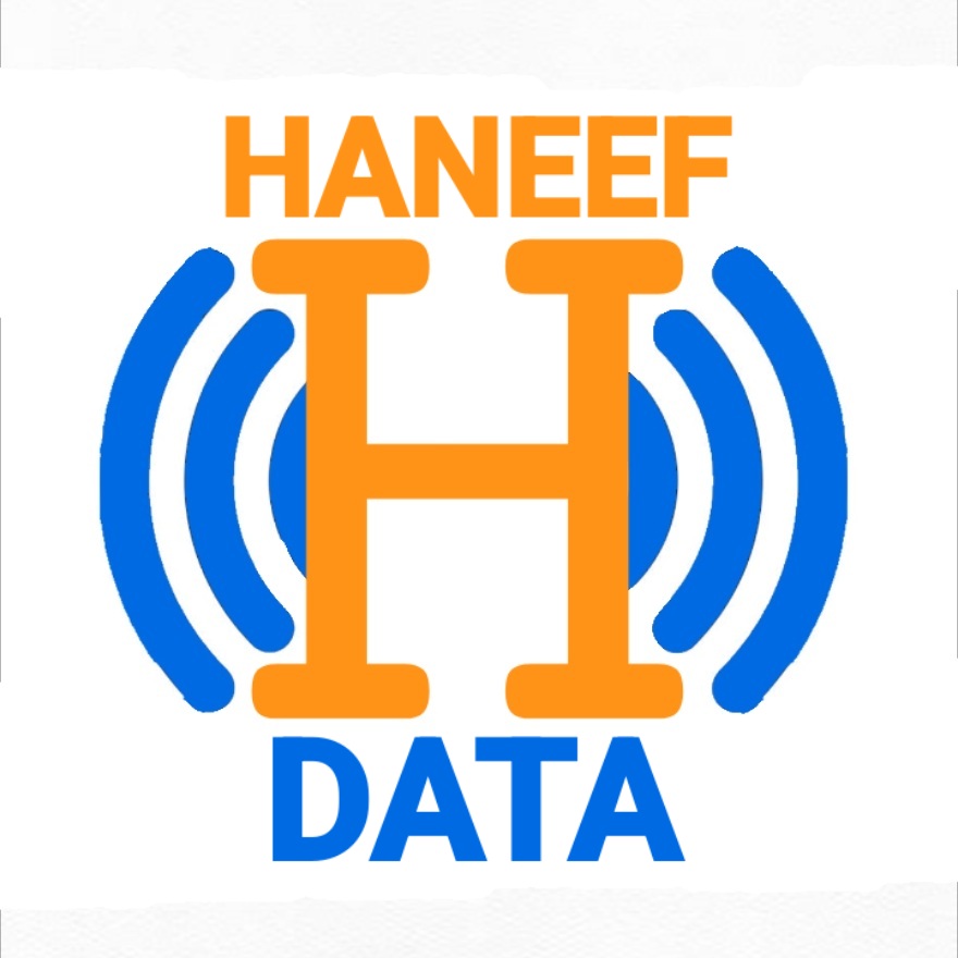 haneefdata Logo